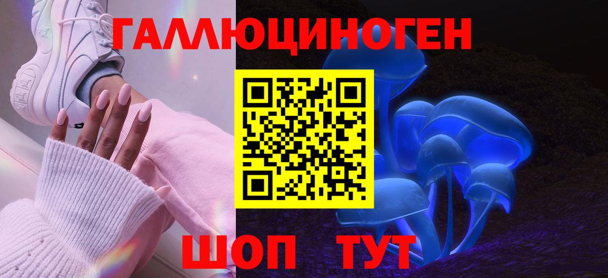 Галлюциногенные грибы Psilocybe  Вход с VPN  Петропавловск-Камчатский 